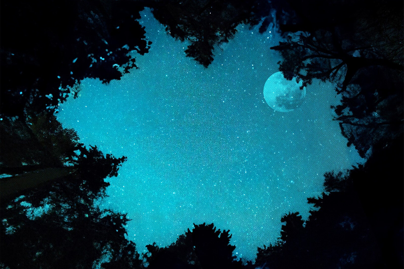 John Summit's Experts Only presents Silver Panda & Sevenn “Welcome The Night”