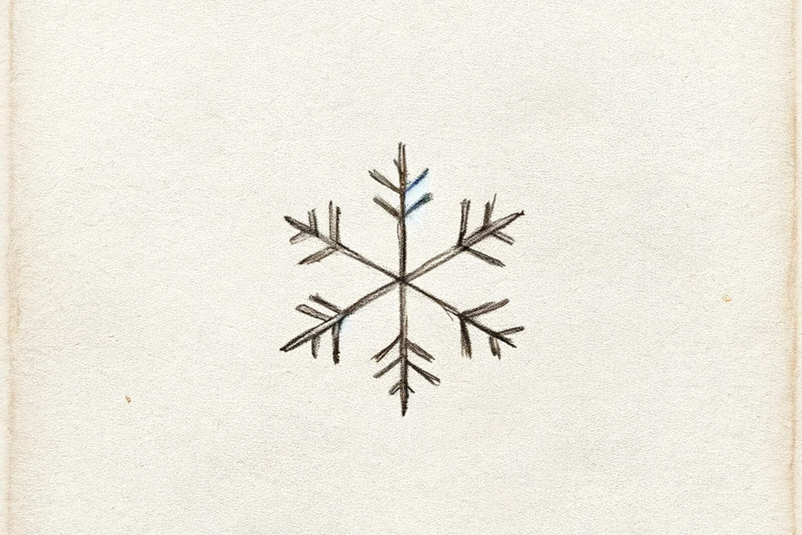 Eighty Ninety Reveal New Holiday Song, "Snowflakes In Your Hair"