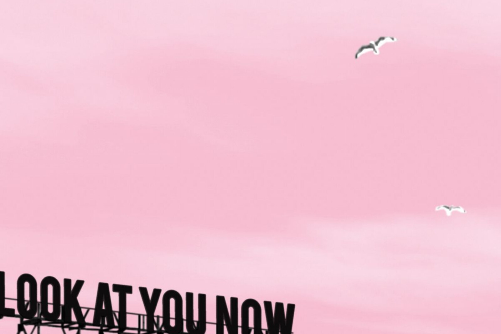 Novastar lost gloednieuwe song 'Look At You Now', mét bijzondere videoclip
