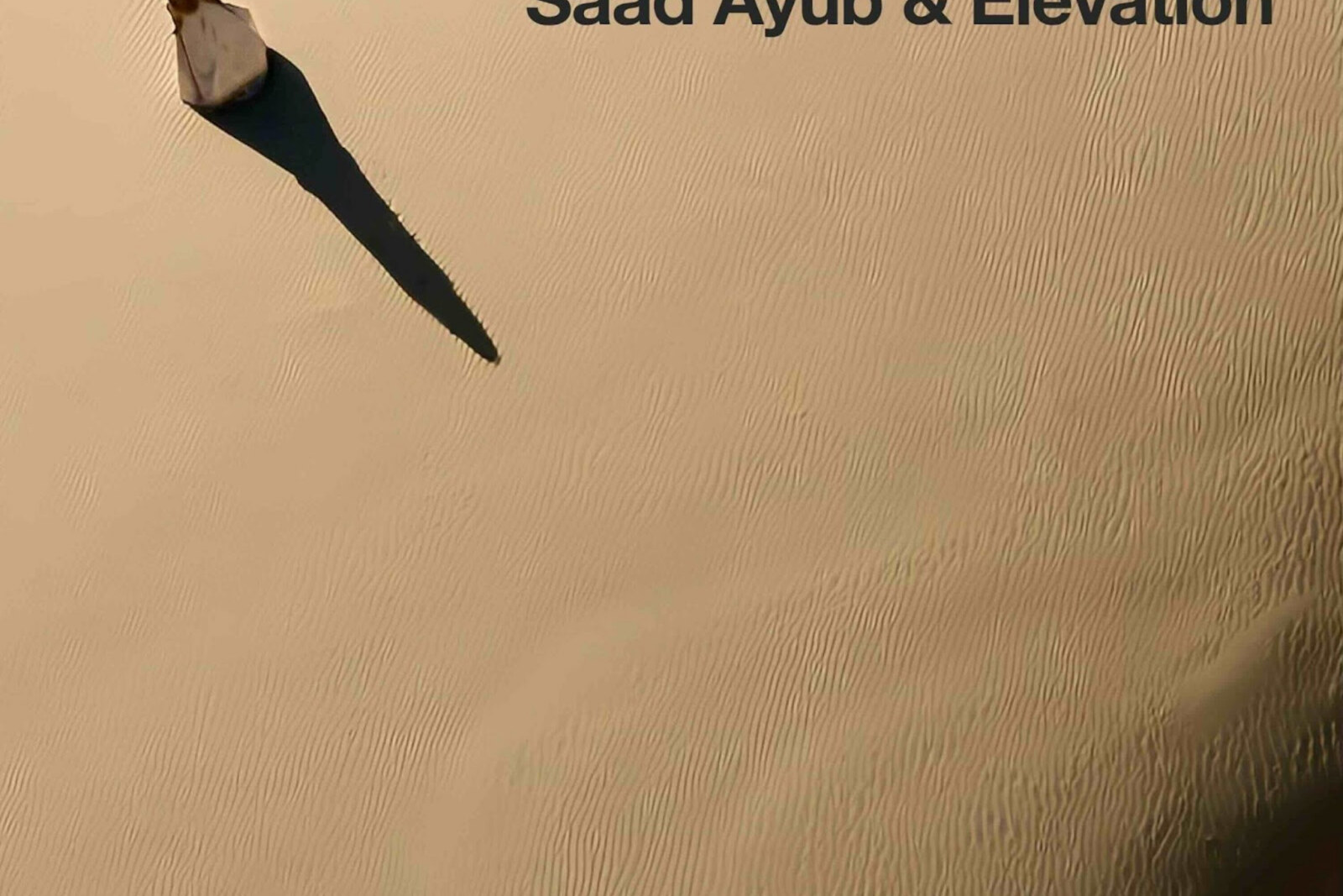 Paul van Dyk, Saad Ayub and Elevation team on Melodic Tech Trance Anthem "Ouverture" 