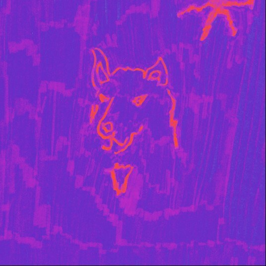 Dehd Announces New Album "Poetry"