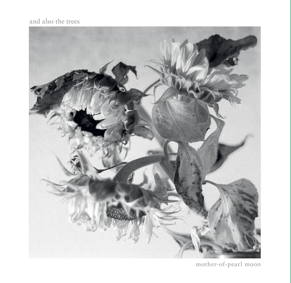 Engelse postpunk iconen And Also The Trees brengen vijftiende soloalbum uit: "Mother-of-pearl Moon"