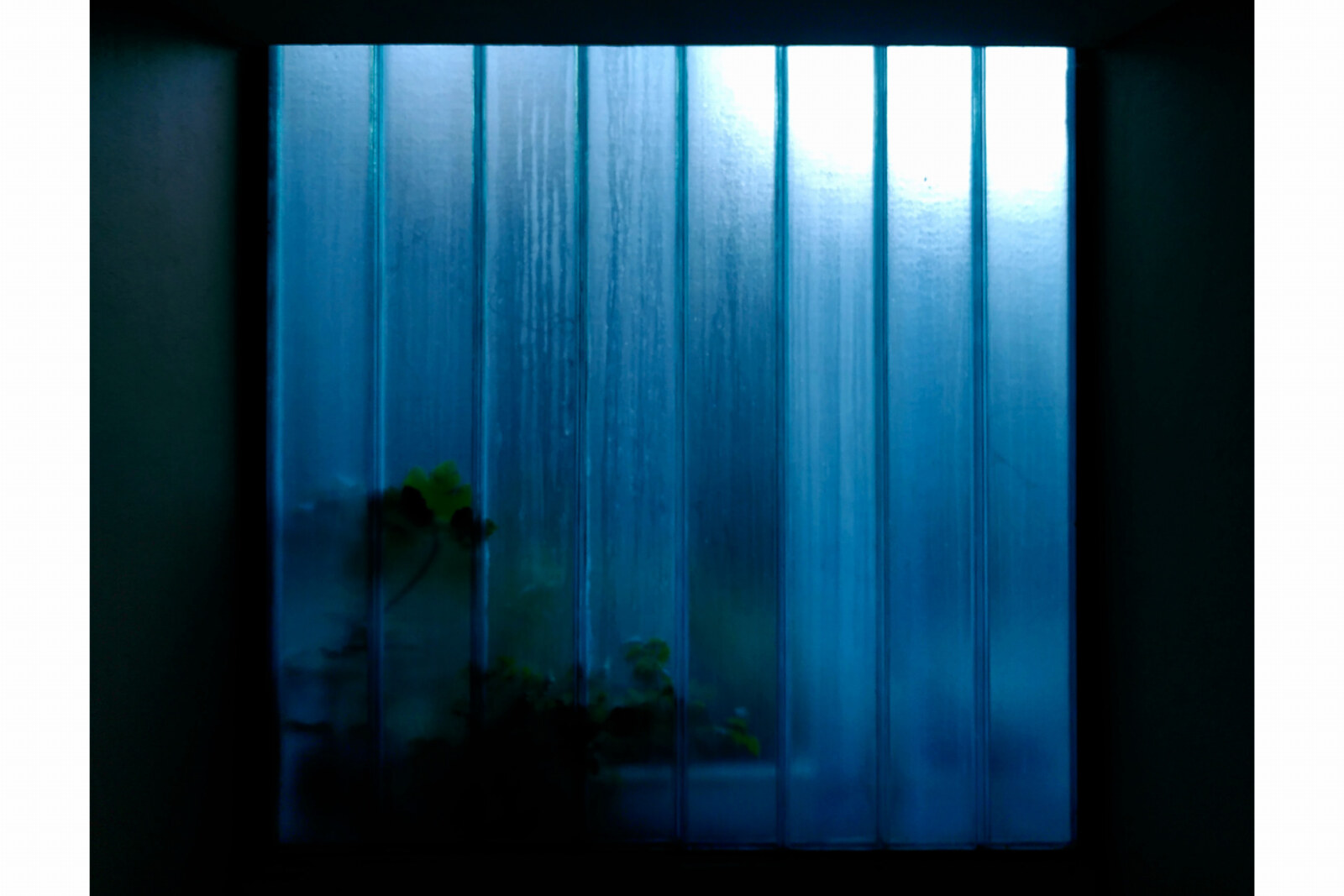 The Day, Belgisch-Duitse dreampop band komt met nieuwe single en album 