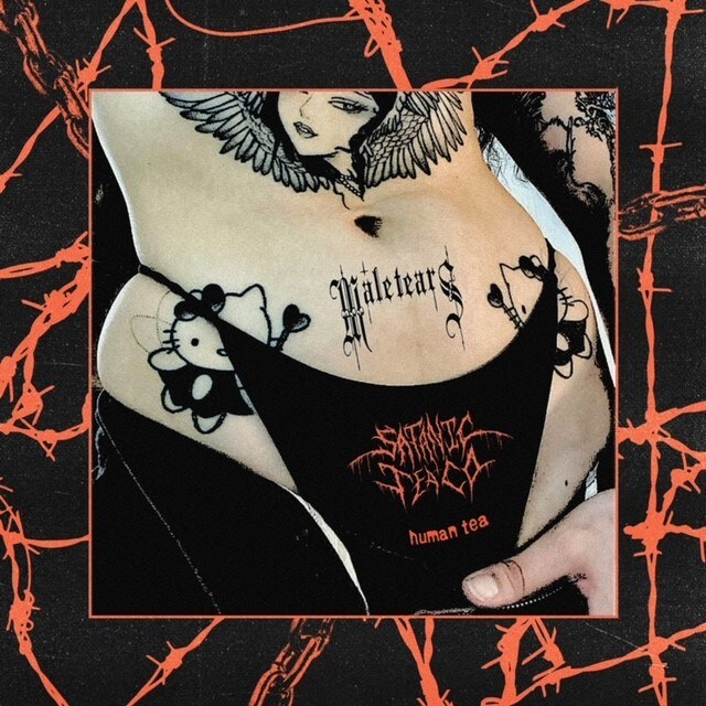 Satanic Tea Co Collabs With MALE TEARS On "Human Tea" Remix, Redux EP