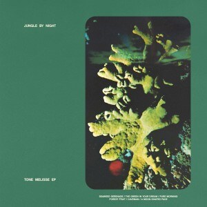 Jungle by Night releases Tone Melisse