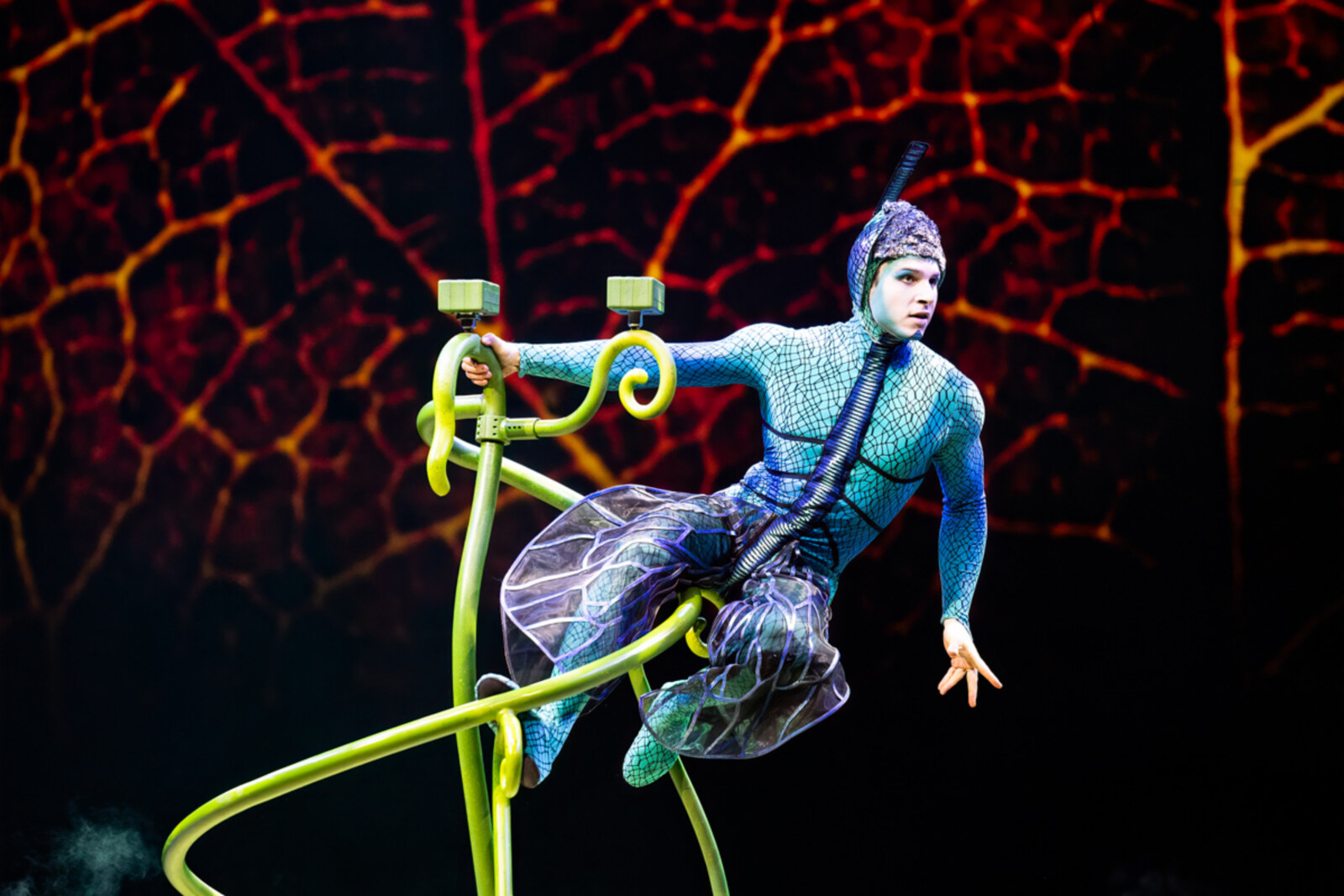 Cirque du Soleil brengt met “OVO” een kolonie insecten naar de Lotto Arena