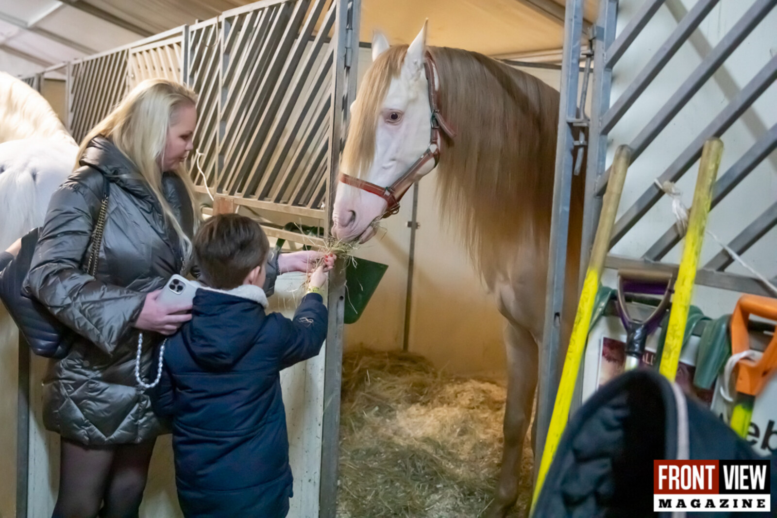 Lesley-Ann Poppe: “Het was de eerste keer dat mijn kinderen een paard hebben geaaid”
