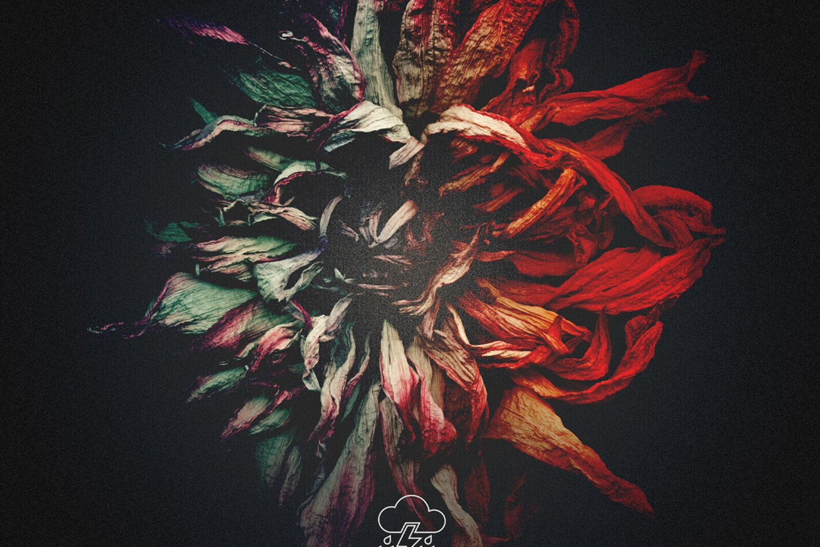 Vicious Rain releases new single / video!