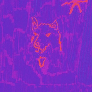 Dehd releases Poetry
