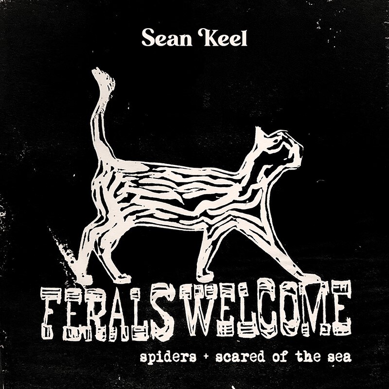 Sean Keel unveils 'melon' - second glimpse of the new album 'ferals welcome', a single that feels a little like a lost track from the Basement Tapes