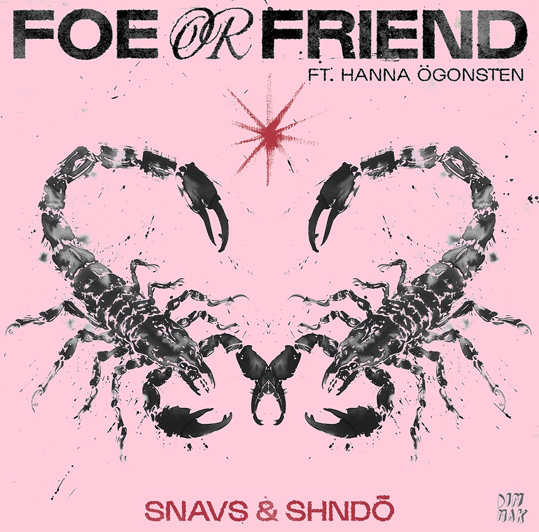 Dim Mak artists Snavs & shndō team up for  ‘Foe Or Friend 