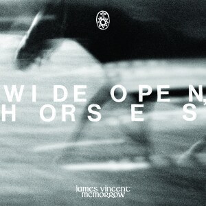James Vincent McMorrow - Wide open, horses