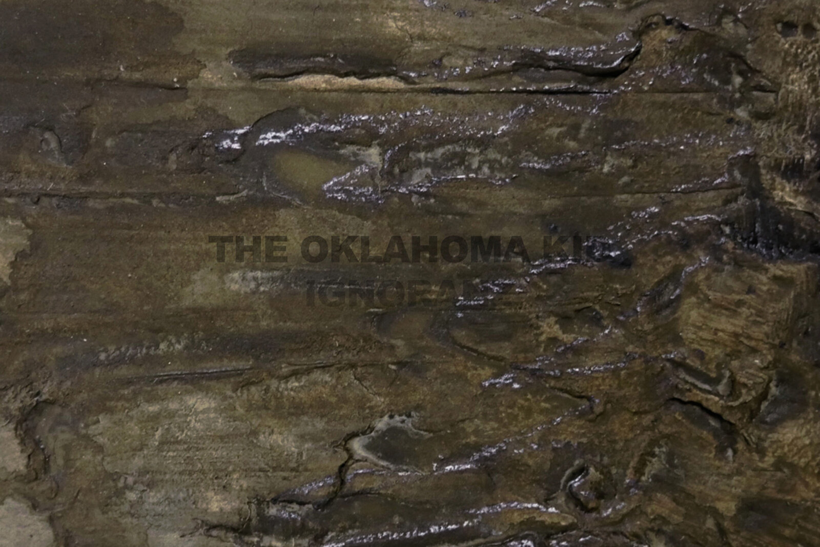 The Oklahoma Kid releases new single / video!
