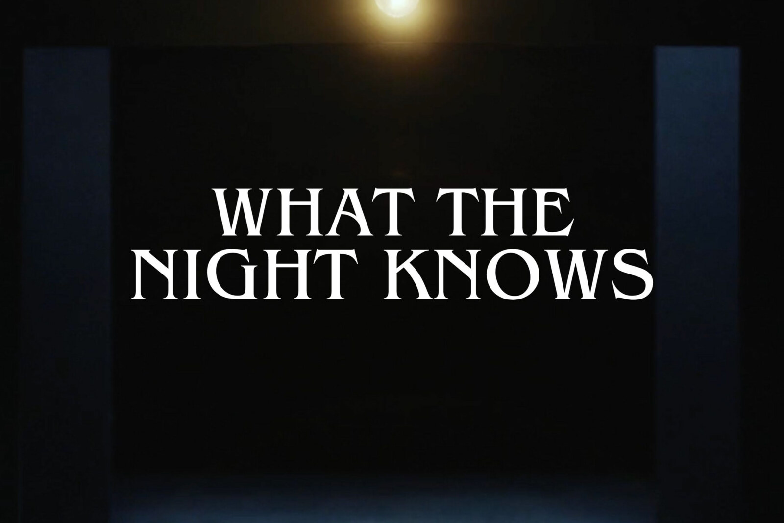 Multi-instrumentalist singer songwriter Bird is releasing her evocative new single 'What The Night Knows’