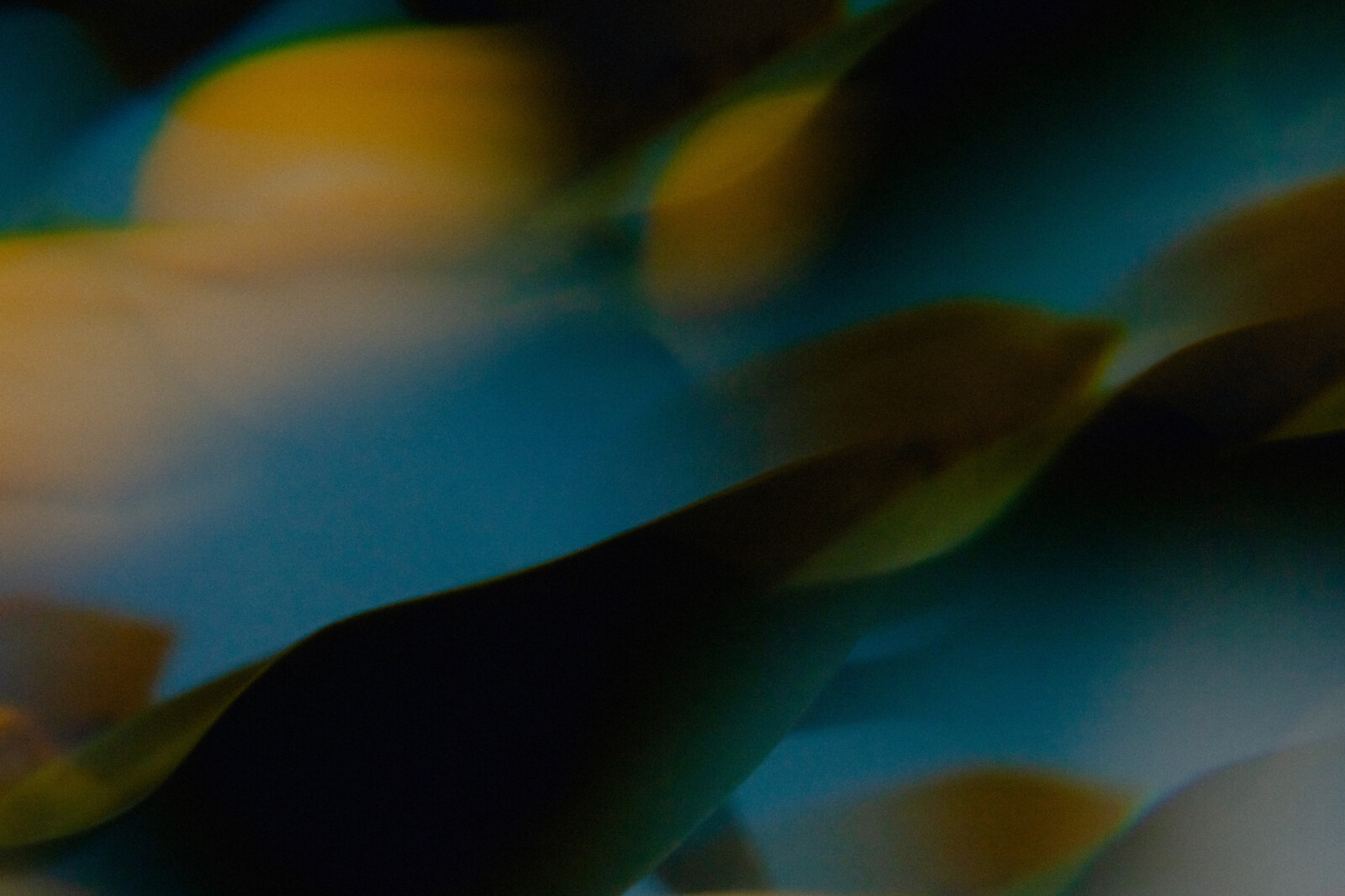 Ben Böhmer Links with Lykke Li on New Single “Hiding”
