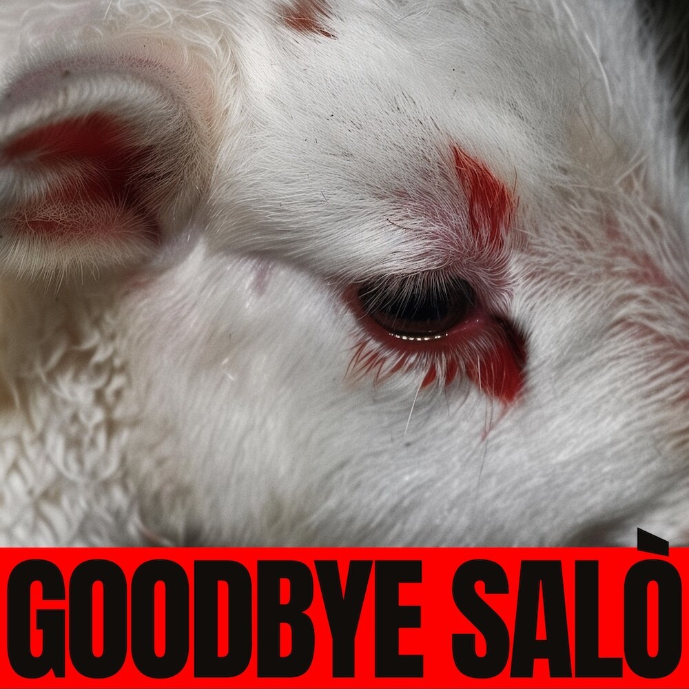 Brutalismus 3000 brengt nieuwe ep 'GOODBYE SALÓ' uit