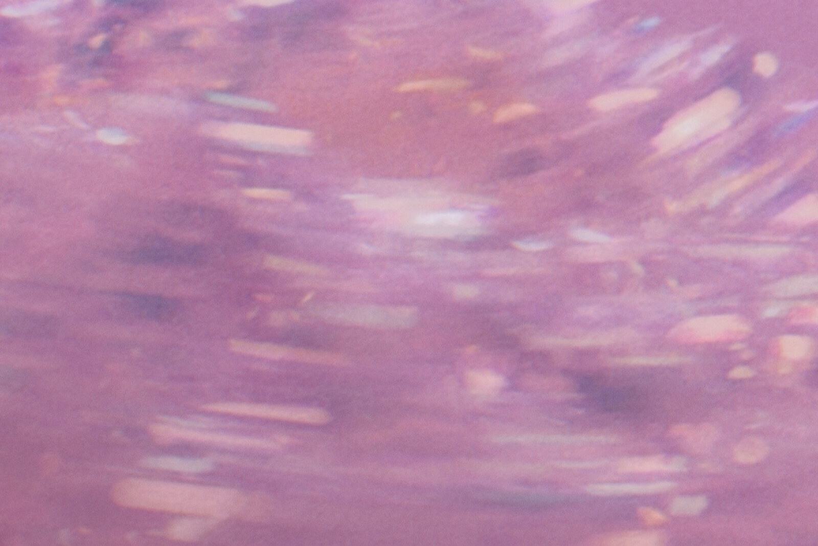 Renowned Producer Robot Koch Remixes EMMI IIDA’s ‘Blooming’ single