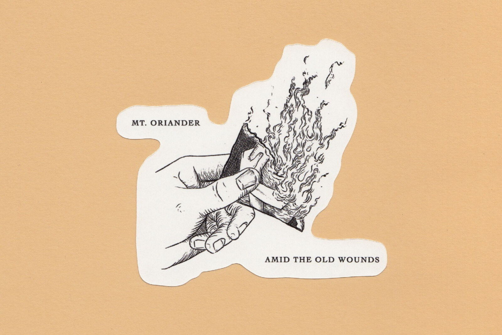Emo/ Singer Songwriter Acts MT. ORIANDER (ex-Empire! Empire!) and AMID THE OLD WOUNDS Announce Split 7" EP.