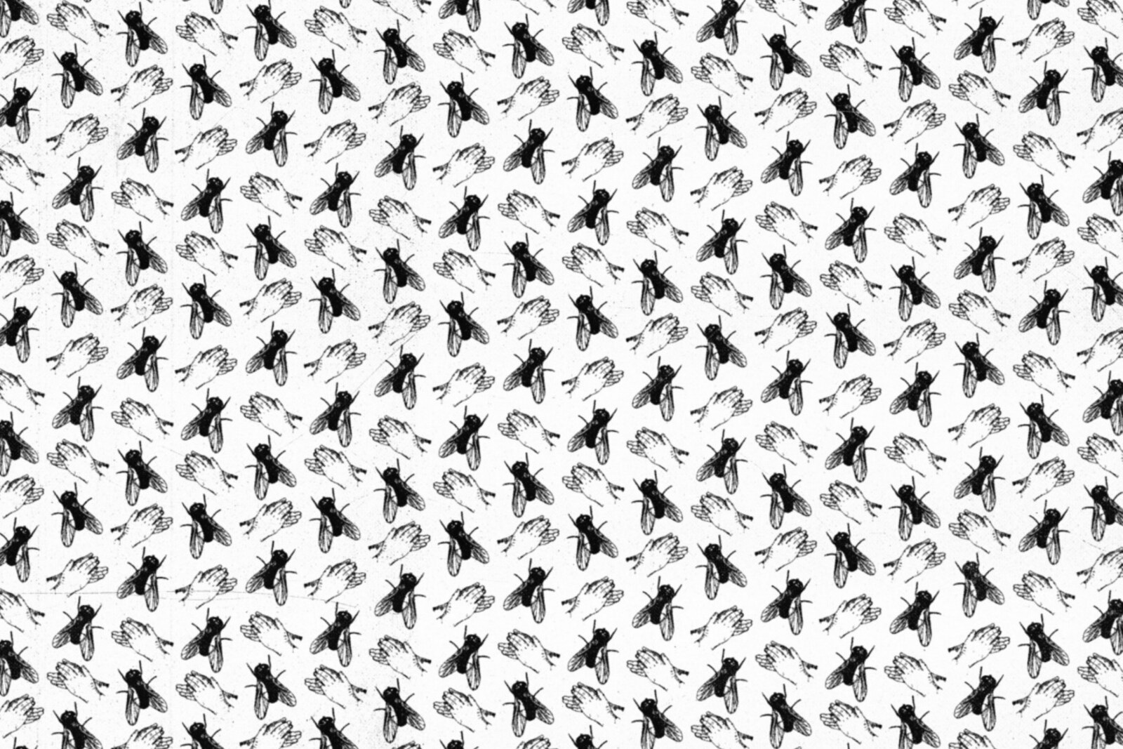 Itches deelt debuutplaat Two Flies In One Clap