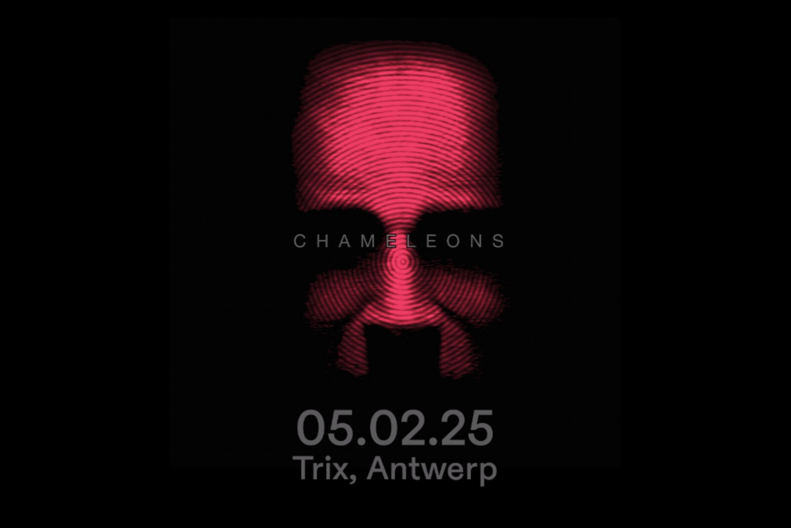 The Chameleons speelt op 5 februari 2025 in Trix