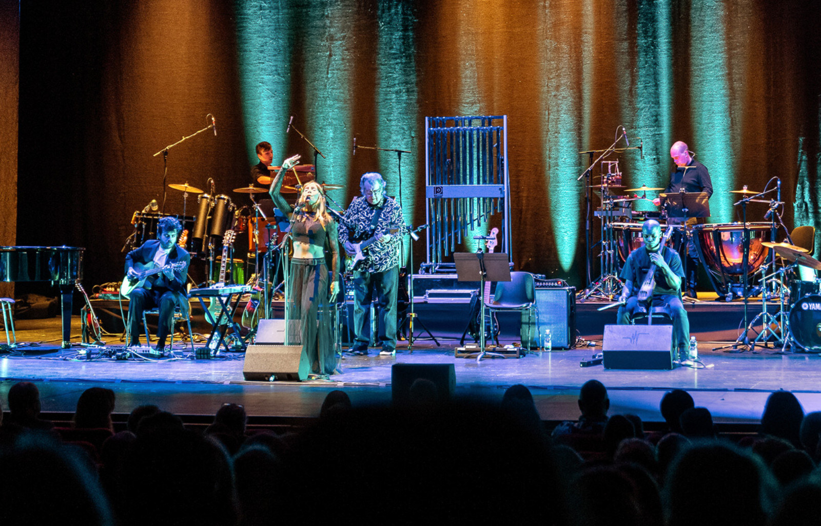 Mike Oldfield's Tubular Bells op 29 maart in de Koningin Elisabethzaal Antwerpen