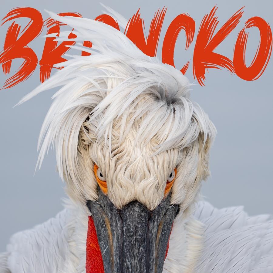 Broncko brengt met zangeres Stéphanie Onclin (The Voice) de nieuwe single ‘Moon and Stars’uit! 