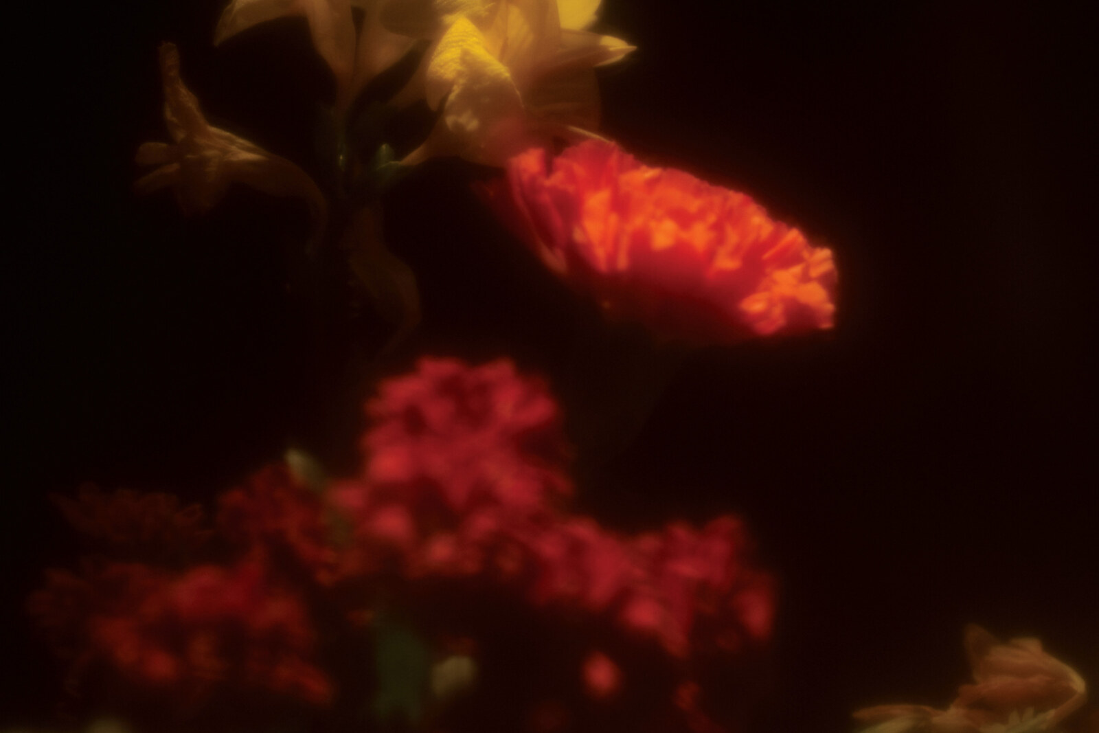 Belgian pianist Grégoire Gerstmans announces his debut album | 'Hypnagogie' out 29/11