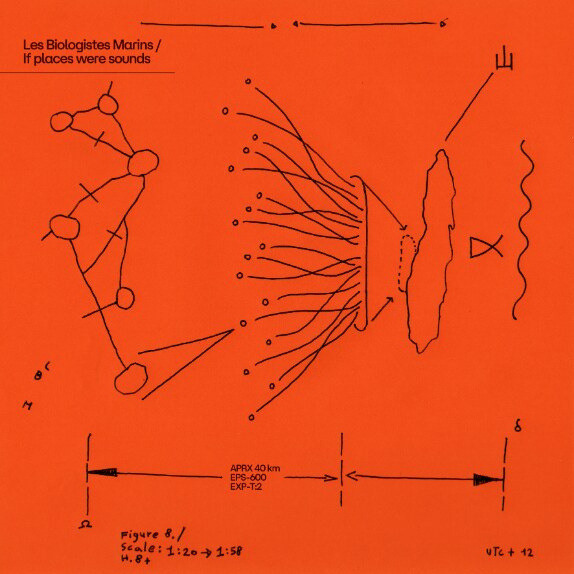 Les Biologistes Marins live in Netherlands for two show: Amsterdam and Nijmegen  - The Italian ambient duo explores with their music the values of water