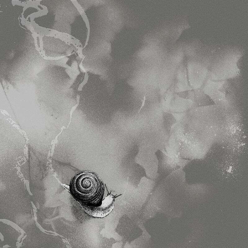 Rats on Rafts to release new studio album Deep Below