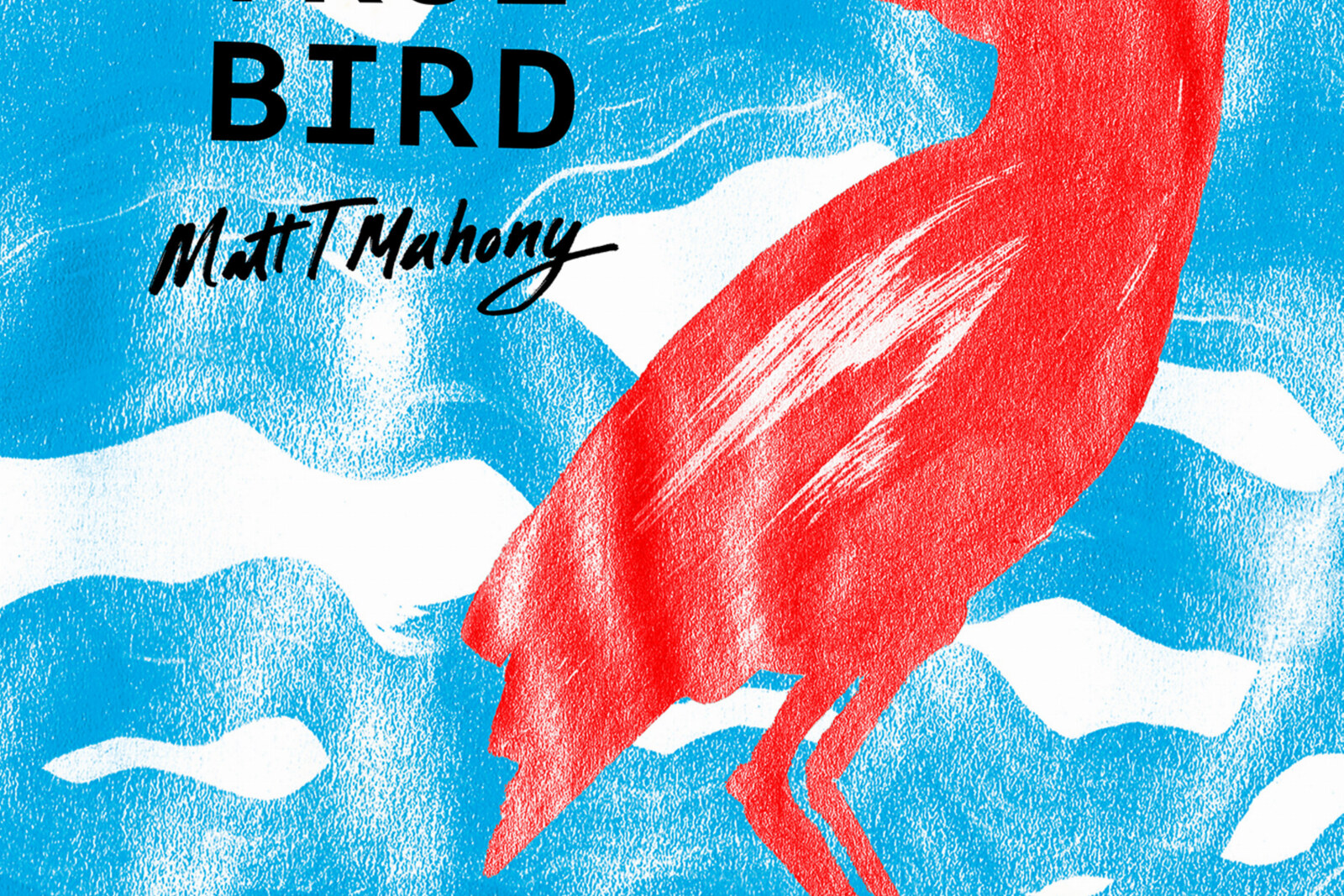 'True Bird', tweede single van nieuw album van Matt T Mahony.