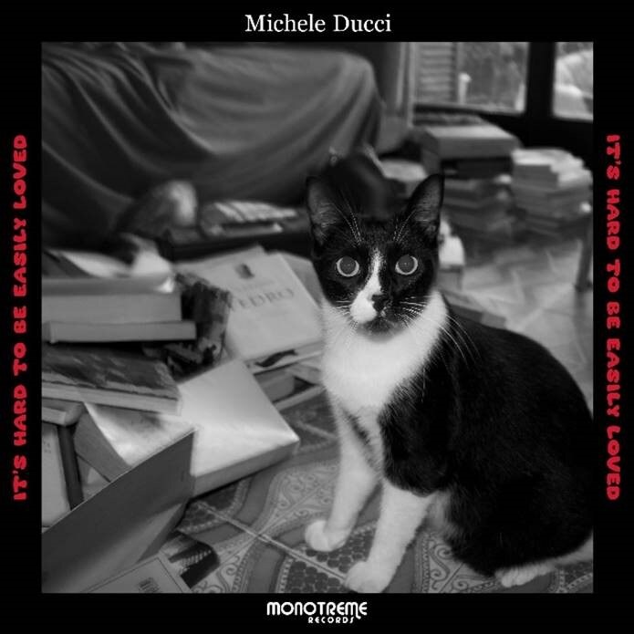 Softly purring vocals and pensive beauty on new Michele Ducci single 'It's Hard to be Easily Loved'