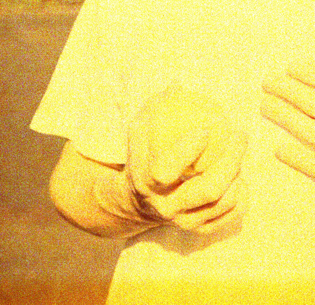 Stuffed Foxes (Stolen Body Rec, Reverse Tapes) announce new LP + release video & tour dates