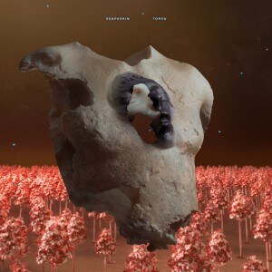 Soap&Skin releases new album 'TORSO'