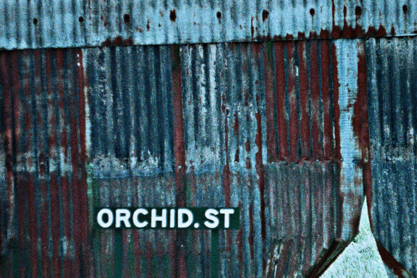 Arimea release music video for new single 'Orchid Street'