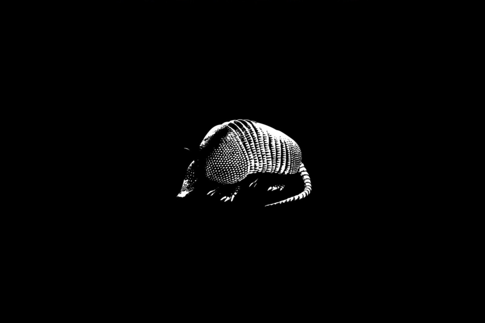 Morlocks: 'Amor, Monstra Et Horrore Profundi' - new EP by multifaceted Swedish industrial rock act out 10th January 2025 on Metropolis Records