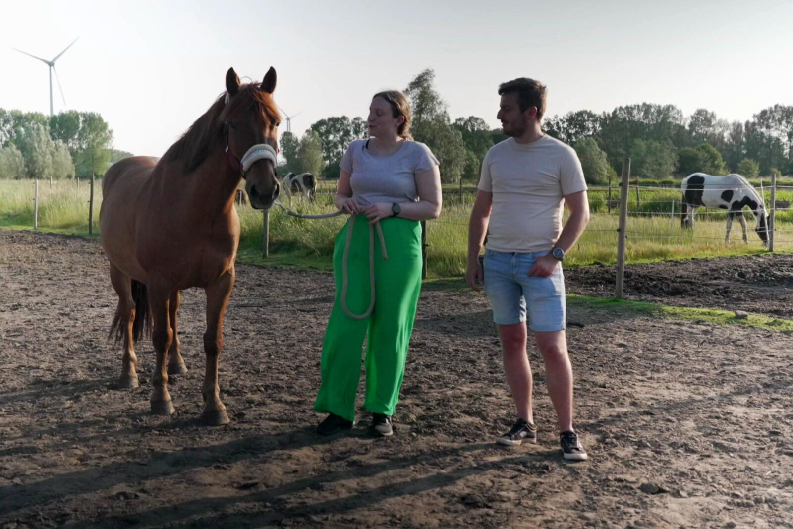 Waaslandse makelaars speuren naar nieuwe thuis voor pony Bruno en gaan op zoek naar rolstoeltoegankelijke woning