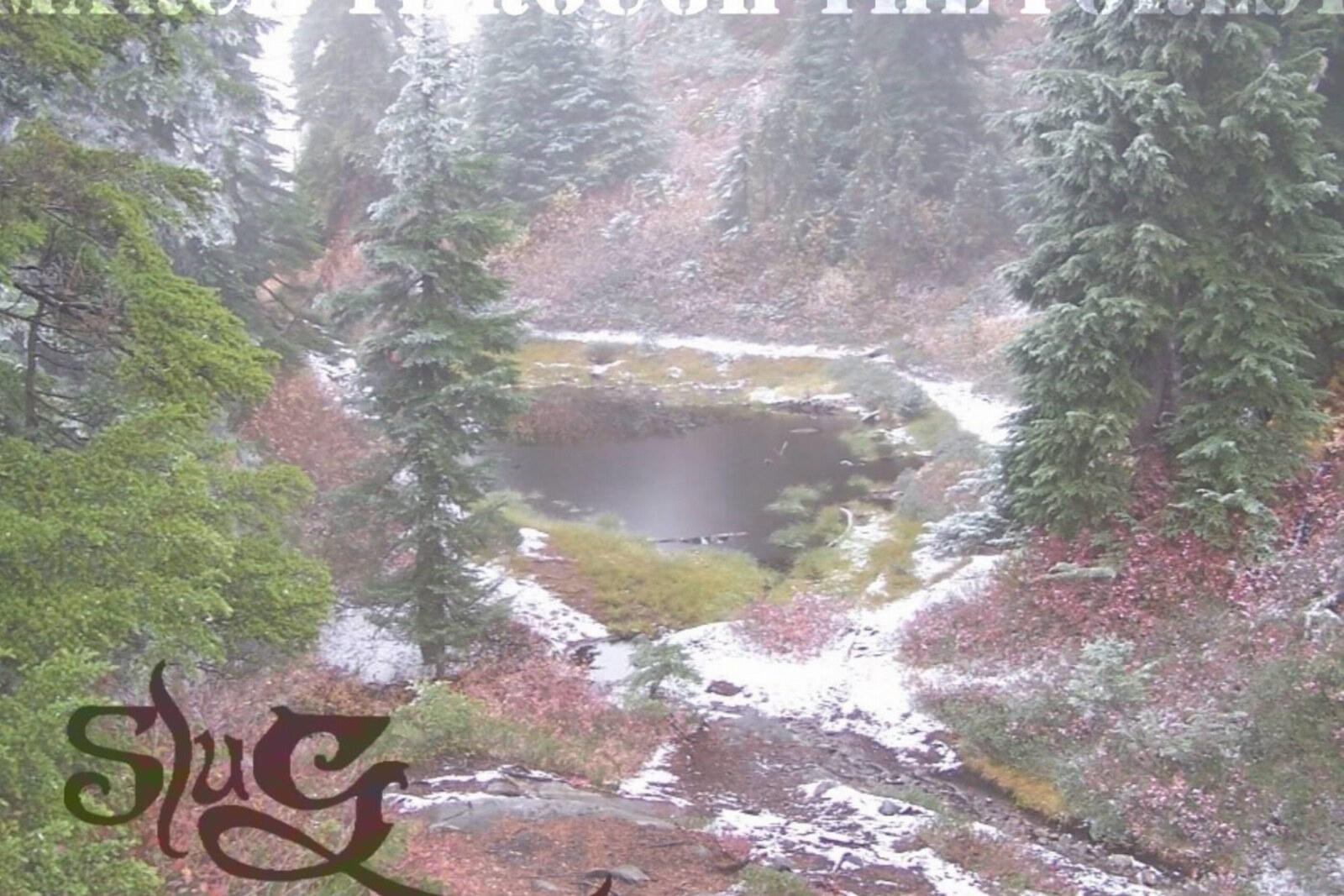 FEN's Doug Harrison Unveils New Single for Solo Project SLUG COMPARISON - Fuzzy And Upbeat Get Ready To “March Through The Forest”