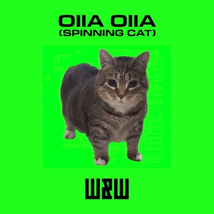 W&W give Ethel the viral Oiia Cat a party-ready makeover on new track ‘Oiia Oiia