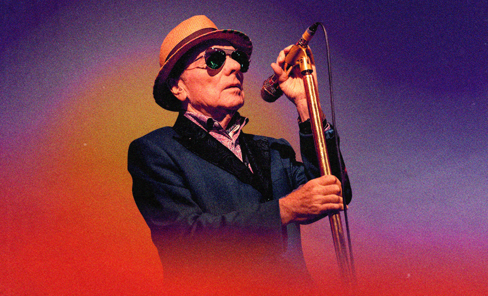 Van Morrison kondigt terugkeer naar België aan!