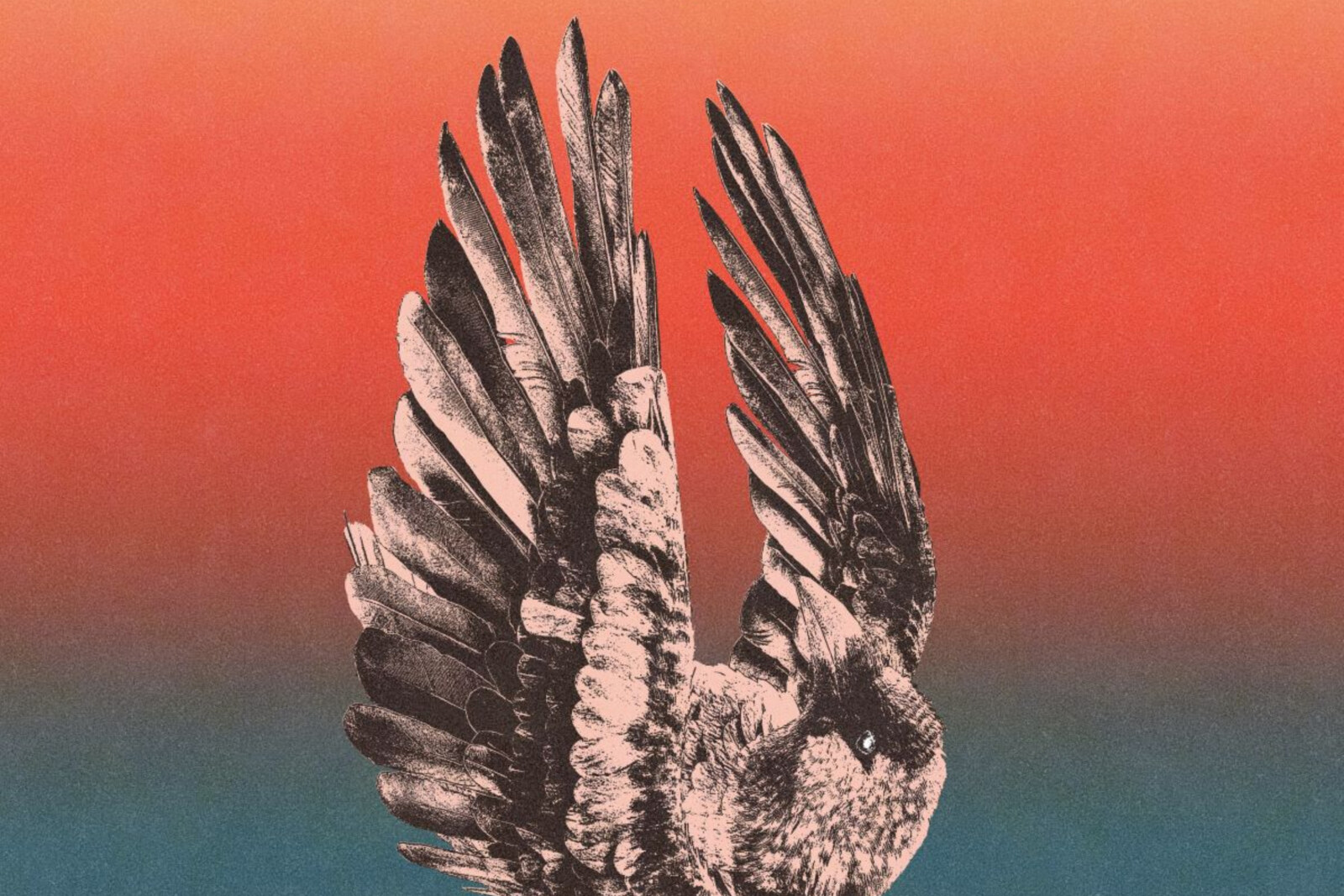 Tumble Unleashes First Single From Upcoming EP 'Lost In Light'