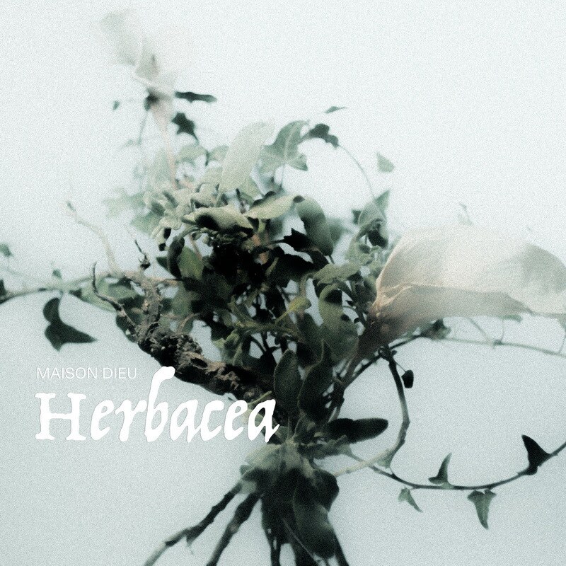 Maison Dieu (Ita) releases Herbacea @ Mystic Doom