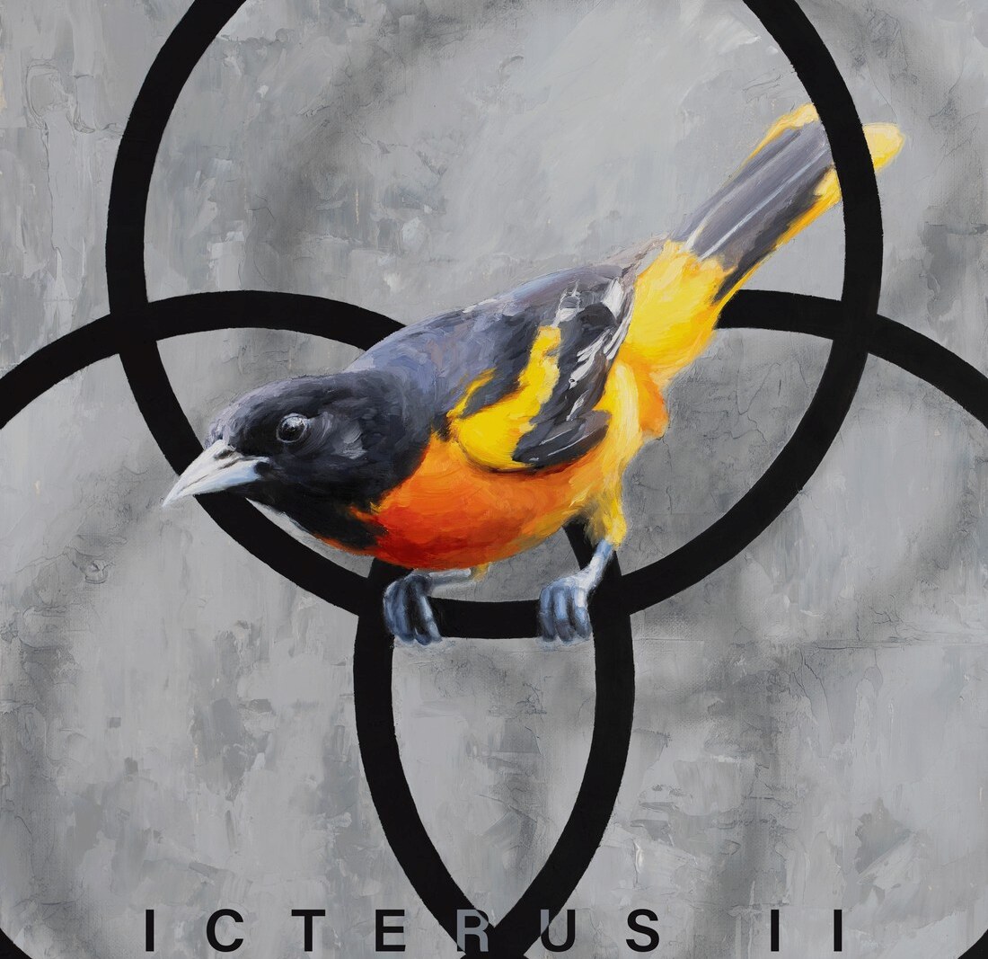 Toronto's stef.in serve up heavy weirdo fusion on "Icterus II" LP