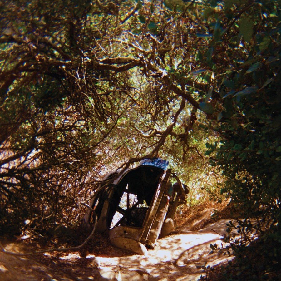 Ty Segall Announces New Album 'Possession' and Shares First Single 'Fantastic Tomb'