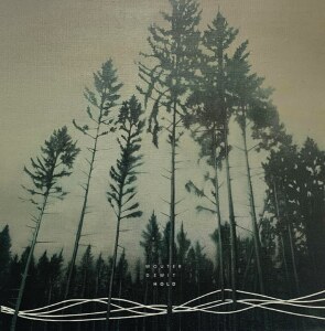 Wouter Dewit releases Hold