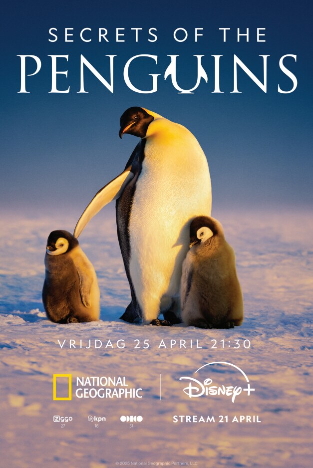 Secrets of the Penguins valt te bekijken op Disney+