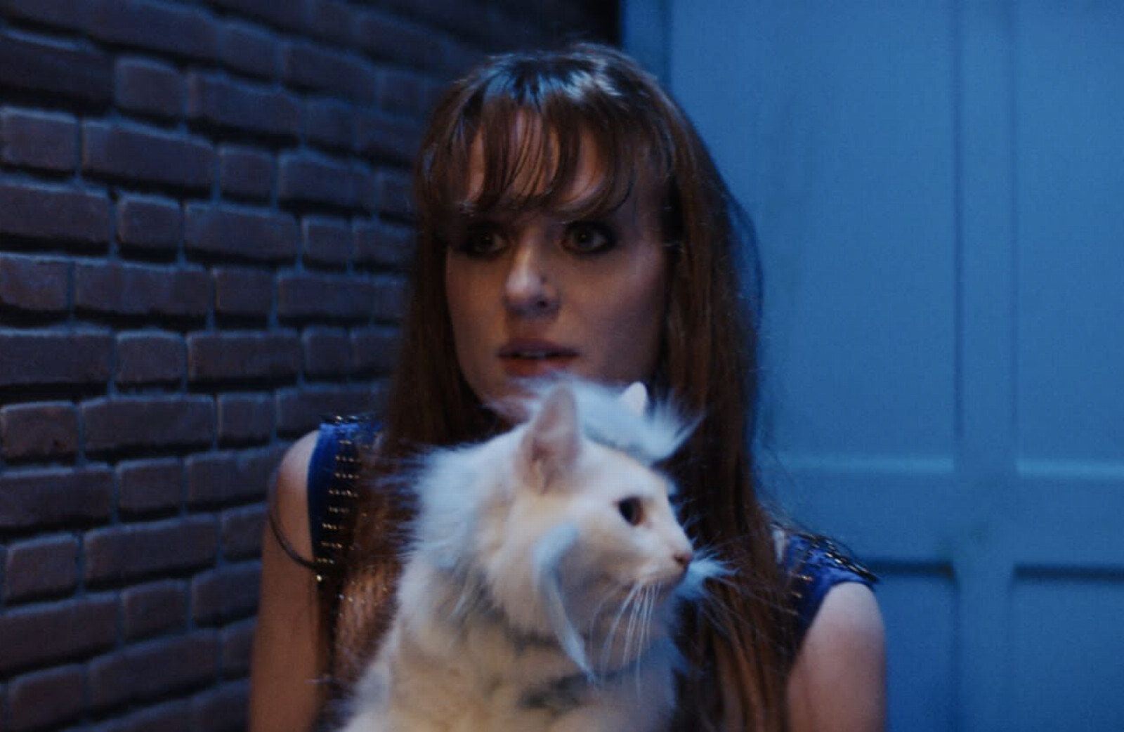 MEROL brengt popmusicalfilm ‘DIEP IN DE NACHT’ uit 