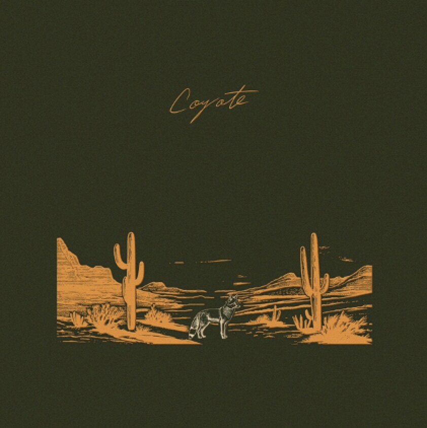 Mt. Joy returns with new single Coyote