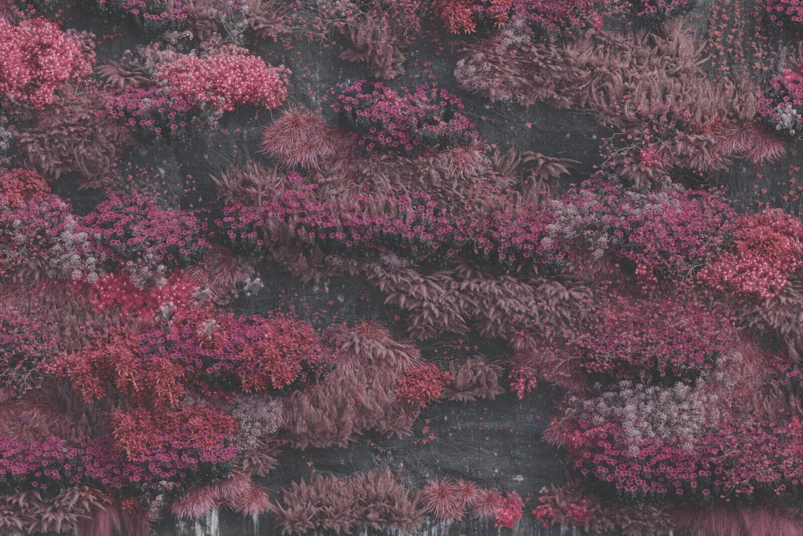 Sleep Token releases "Even In Arcadia" 