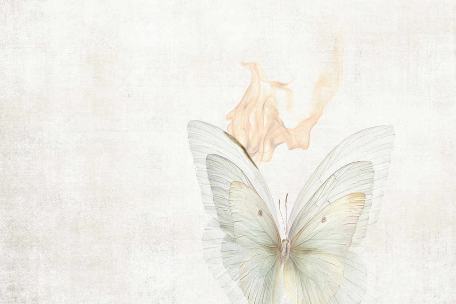 Velvet Moon releases new Album Endless War In The Summer an