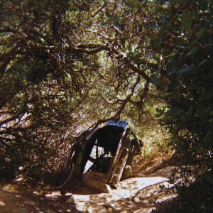 Ty Segall releases Possession